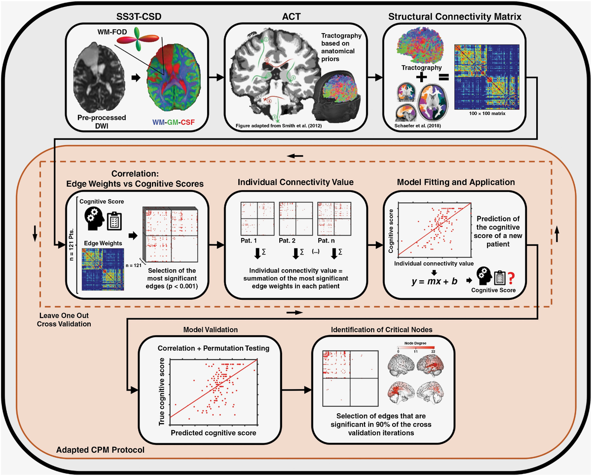 Structural connectome-based predictive modeling of cognitive deficits in treated glioma patients