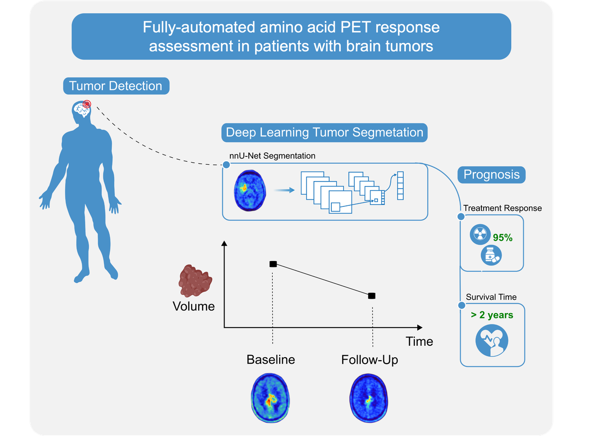 Utilising Advanced AI Technology for the Accurate Evaluation of Brain Tumours in PET Imaging