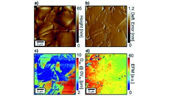 Signal Origin of Electrochemical Strain Microscopy and Link to Local Chemical Distribution in Solid State Electrolytes